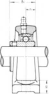 UCIP 300