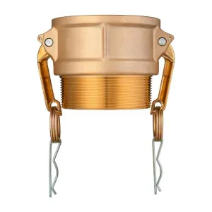 Камлок латунный тип B розетка, наруж. резьба BSP 4", TL400BBR TITAN LOCK