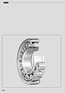 NSK