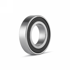 Нержавеющий подшипник 6204-SS-2RS ISKRA