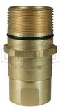 1in БРС серия WS-W, ниппель, резьба BSP (латунь) W8BF8-B DIXON