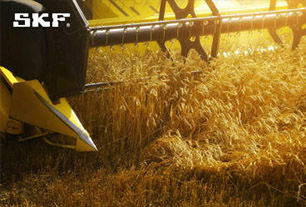 Как можно разрешить проблемы сельского хозяйства и повысить производительность