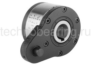 Обгонная муфта GL55F5D2 (GFR55F2F3) CTS