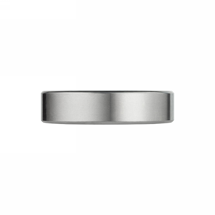 Нержавеющий подшипник 6204-SS-2RS ISKRA