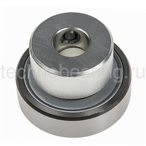 Подшипник RAE25-NPP-B INA