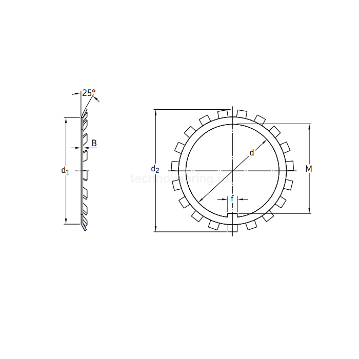 Кольцо MB14 SKF — детальное фото 1