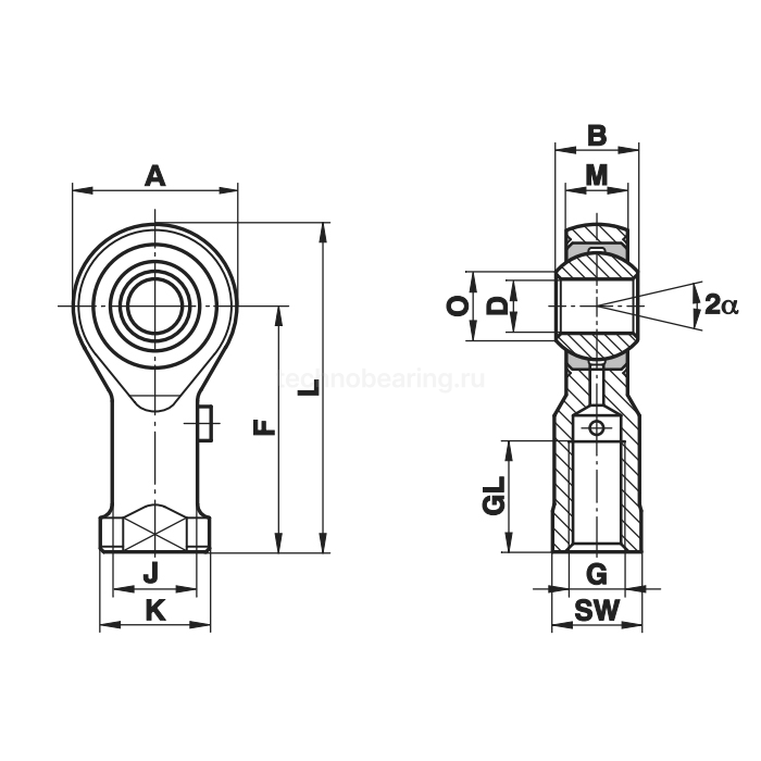 Шарнирный наконечник GIXS20 Fluro