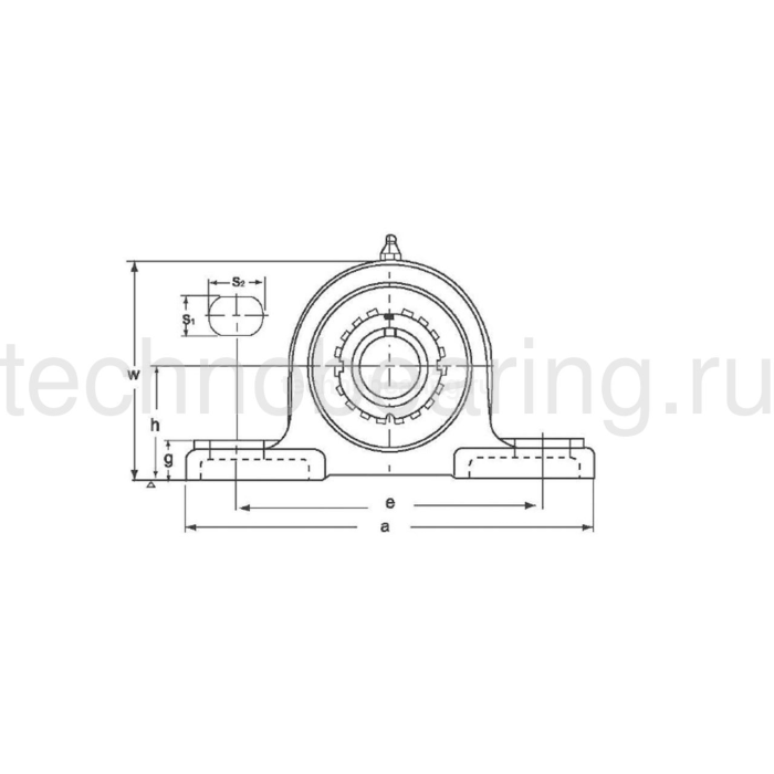 Подшипниковый узел UKP215+H2315 TECHNIX — детальное фото 1
