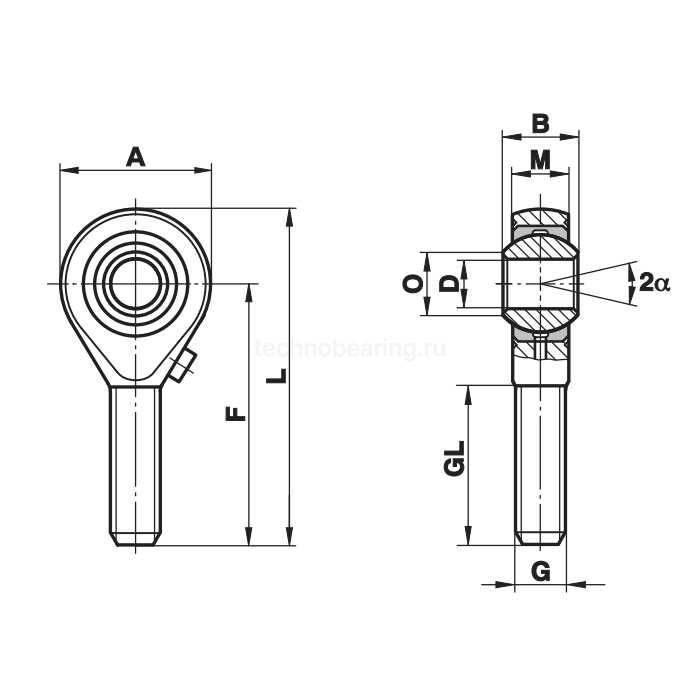 Шарнирный наконечник GAXS20 Fluro