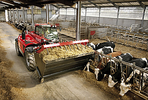 Животноводческая промышленность: какие комплектующие для нее подходят