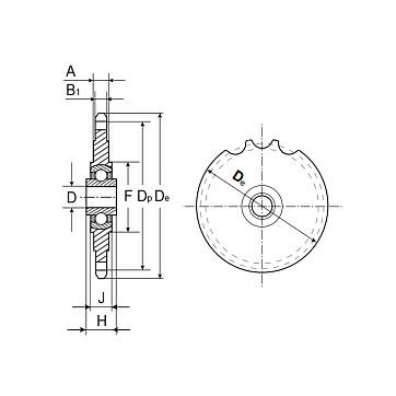 Звездочка натяжная на шариковых подшипниках для цепи 08B, Z=21, 1/2"x5/16" PC09021 (PHC 08B-1 B21) I