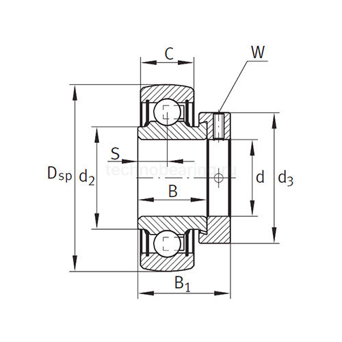 Подшипник RAE25-NPP-B INA