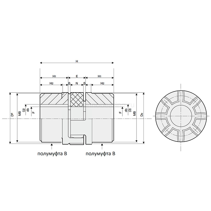 Кулачковая муфта SG-M 55B-55B 98Sh A (D50H7 / D55H7) — детальное фото 1
