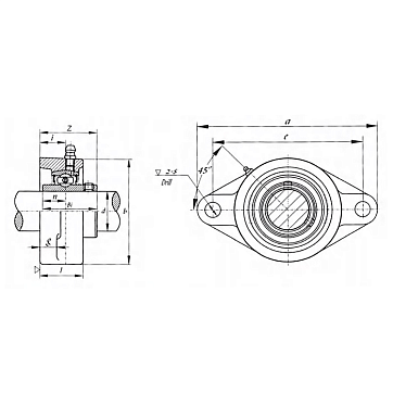 Подшипниковый узел UCFL205 FKD