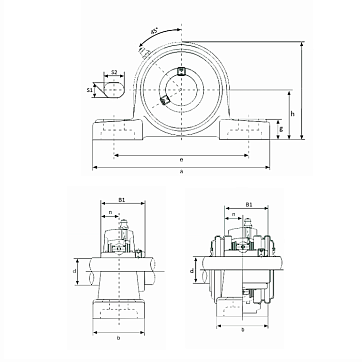 Корпус подшипника P205PL (бел. пласт) ISKRA