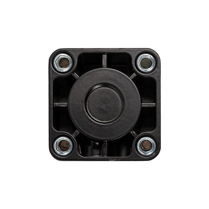 Пневмоцилиндр серии SC с магнитным кольцом, 40X300, TLP-PC40X300SC-MG TITAN LOCK