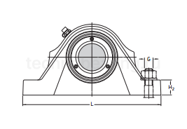 Подшипниковый узел SYNT35 FTS SKF