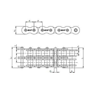 Цепь приводная PHC 16B-3X5MTR (5м) SKF