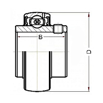 Нержавеющий подшипник (магнитный) UC206 BSS 2RS ISKRA