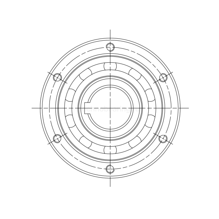 Обгонная муфта GL30 (GFR30) CTS