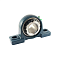 Подшипниковый узел UKP215 FKD