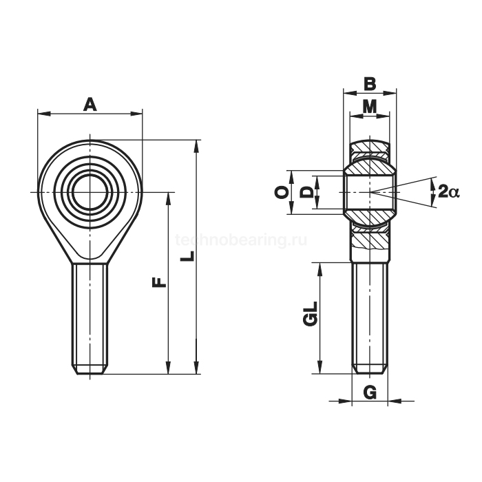 Шарнирный наконечник GAXSW8MS Fluro