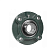 Подшипниковый узел UCFC209 ISKRA