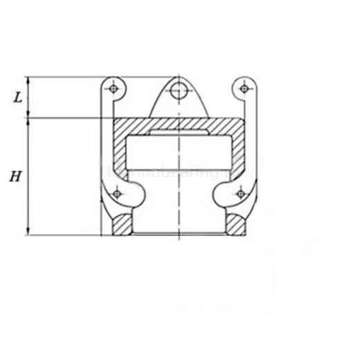 Камлок нержавеющий тип DC серия "EcoLine" заглушка для ниппеля 5", AISI304, TL500DCSS-EL TITAN LOCK